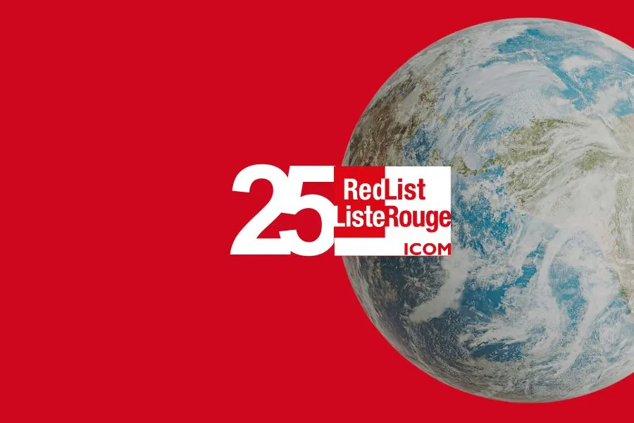 16-39-1801522083611366.webp 16-39-1801522083611366.webp