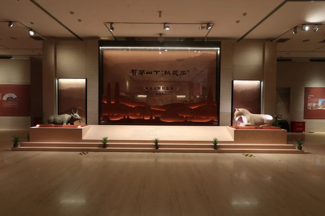 13-54-1807321957146391.jpg 13-54-1807321957146391.jpg